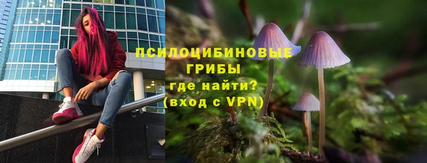 хмурый Армянск