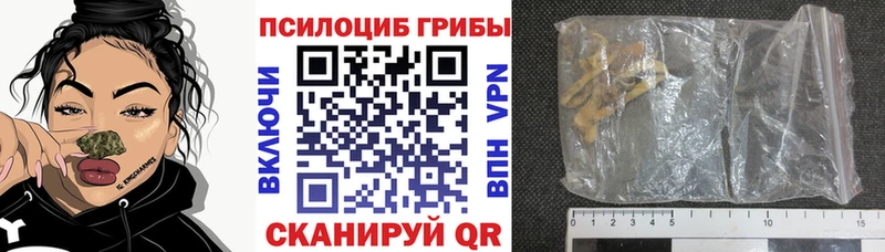 сколько стоит  МЕГА рабочий сайт  Галлюциногенные грибы Cubensis  Октябрьск 